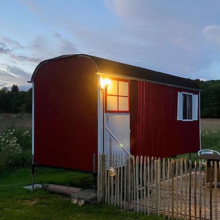 Alte Muehle Boerfink Borfink Exterior foto