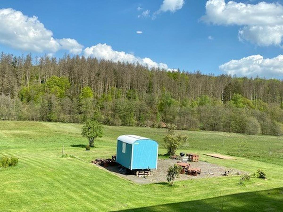 Alte Muehle Boerfink Borfink Exterior foto